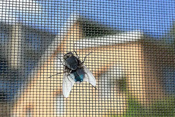 Fly Screen kits 1